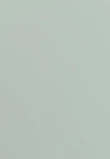 Pistachio Supermatte Color Sample