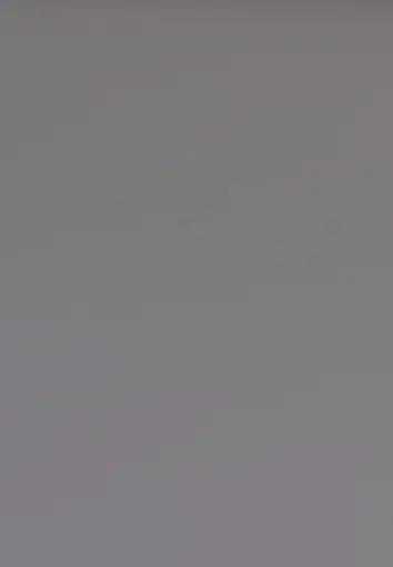 Dust Grey Color Sample